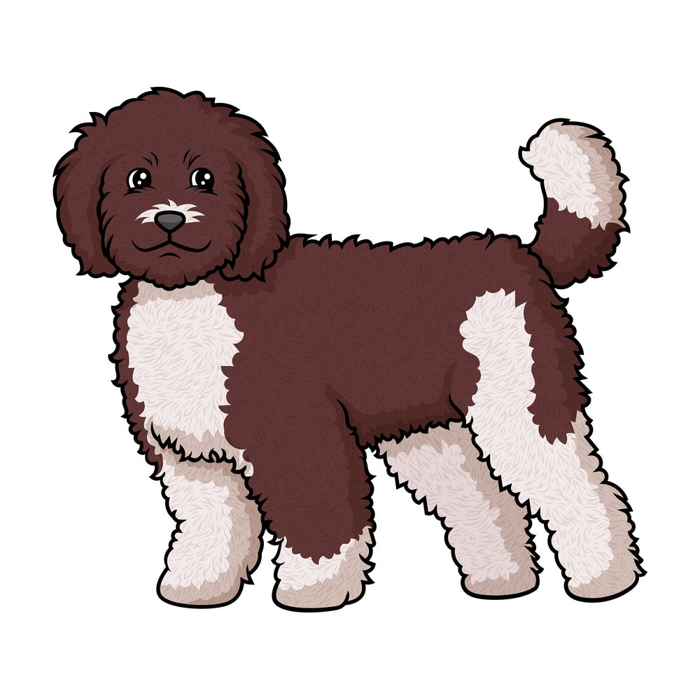 Cheerful labradoodle. PNG - JPG and vector EPS (infinitely scalable).