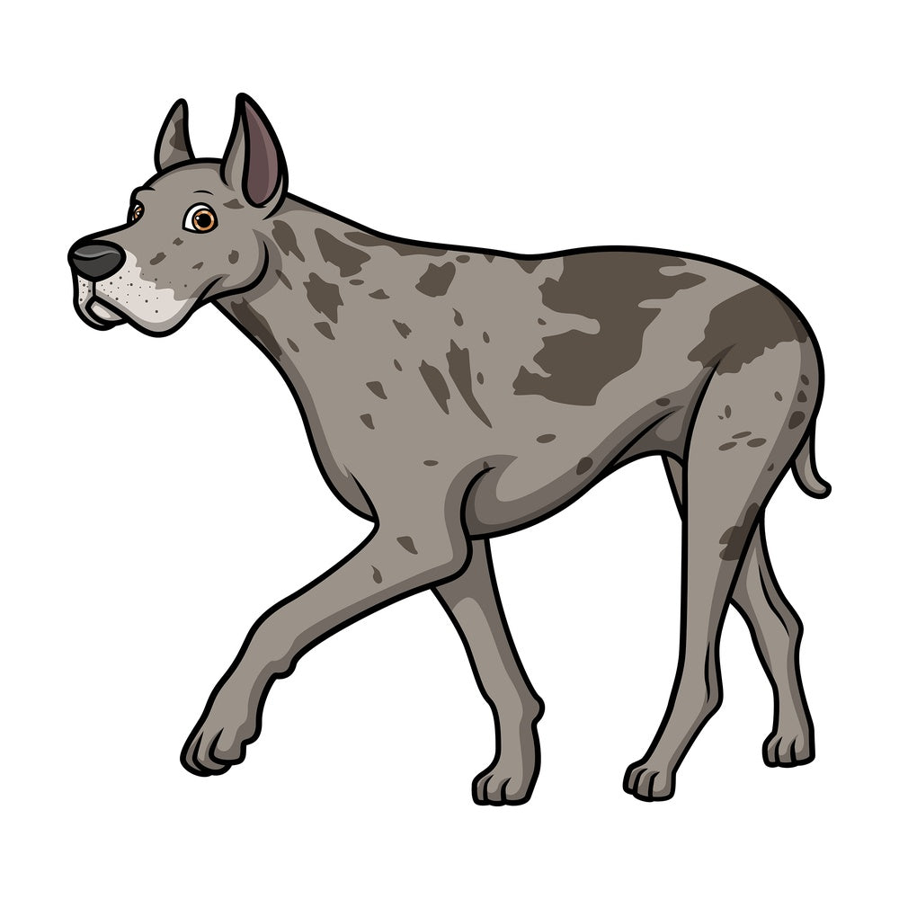 Great dane walking. PNG - JPG and vector EPS (infinitely scalable).