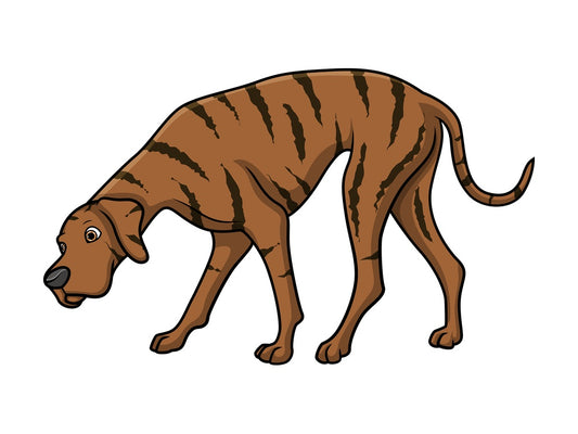 Brindle great dane sniffing. PNG - JPG and vector EPS (infinitely scalable).