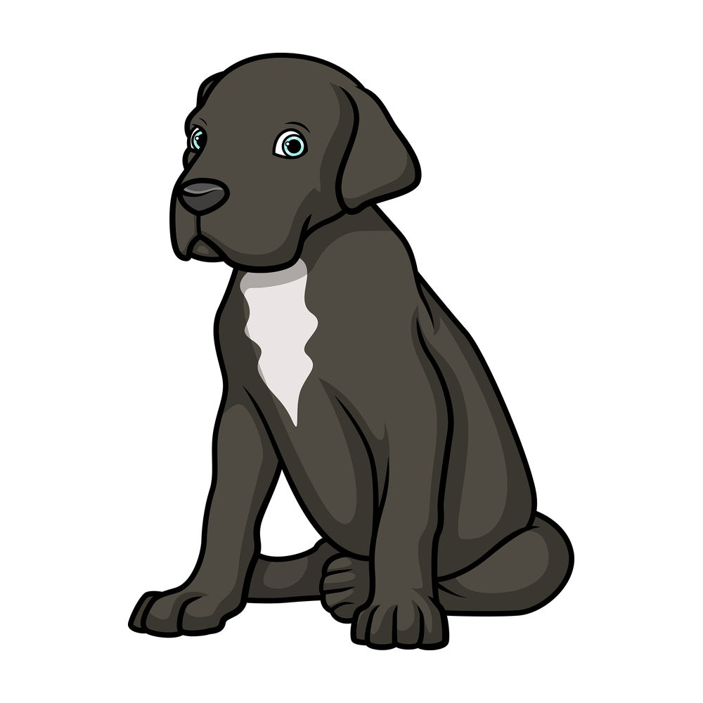 Cute great dane puppy. PNG - JPG and vector EPS (infinitely scalable).