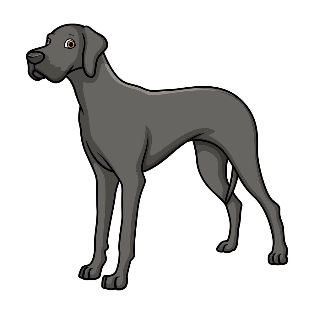 Majestic silver great dane. PNG - JPG and vector EPS (infinitely scalable).