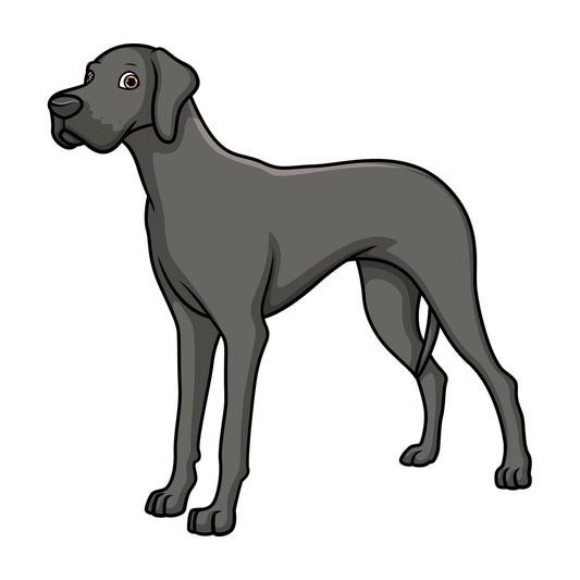 Majestic silver great dane. PNG - JPG and vector EPS (infinitely scalable).