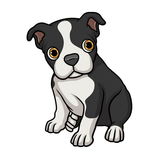 Cute boston terrier puppy. PNG - JPG and vector EPS (infinitely scalable).
