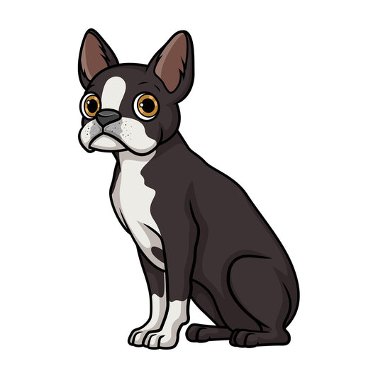 Obedient boston terrier sitting. PNG - JPG and vector EPS (infinitely scalable).