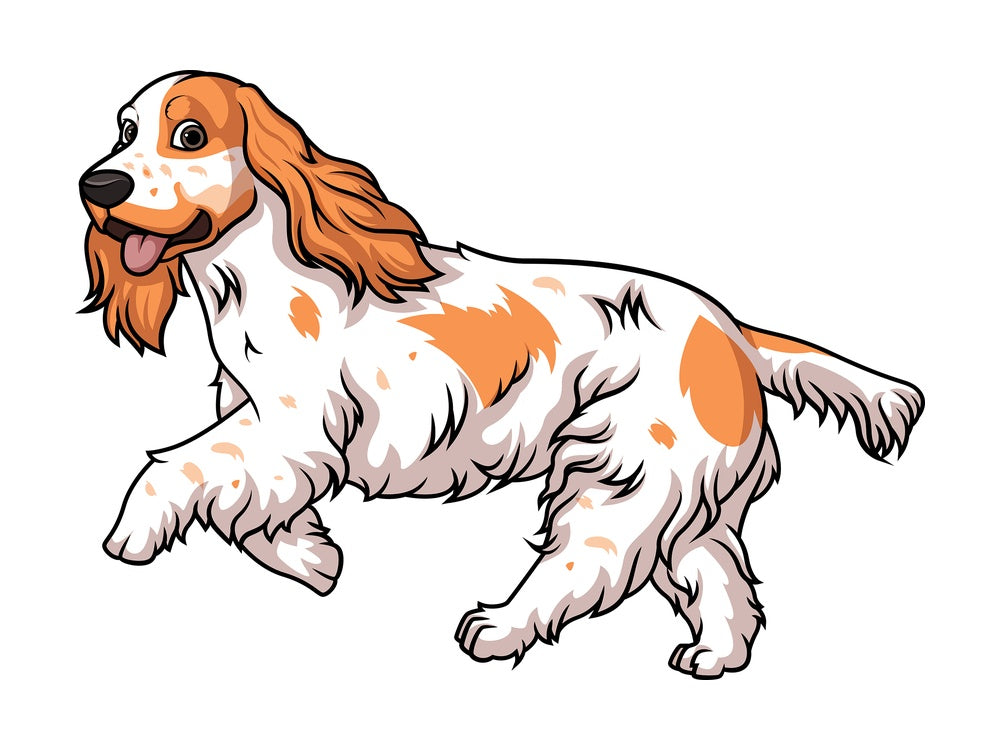 English cocker spaniel running. PNG - JPG and vector EPS (infinitely scalable).