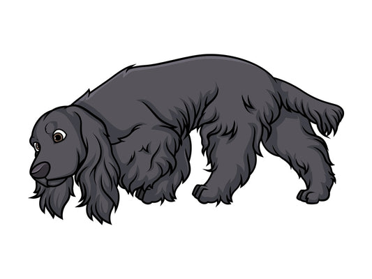 Black english cocker spaniel sniffing. PNG - JPG and vector EPS (infinitely scalable).