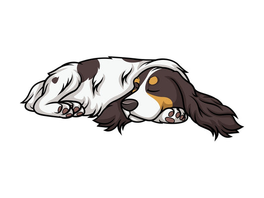 Liver roan english cocker spaniel. PNG - JPG and vector EPS (infinitely scalable).