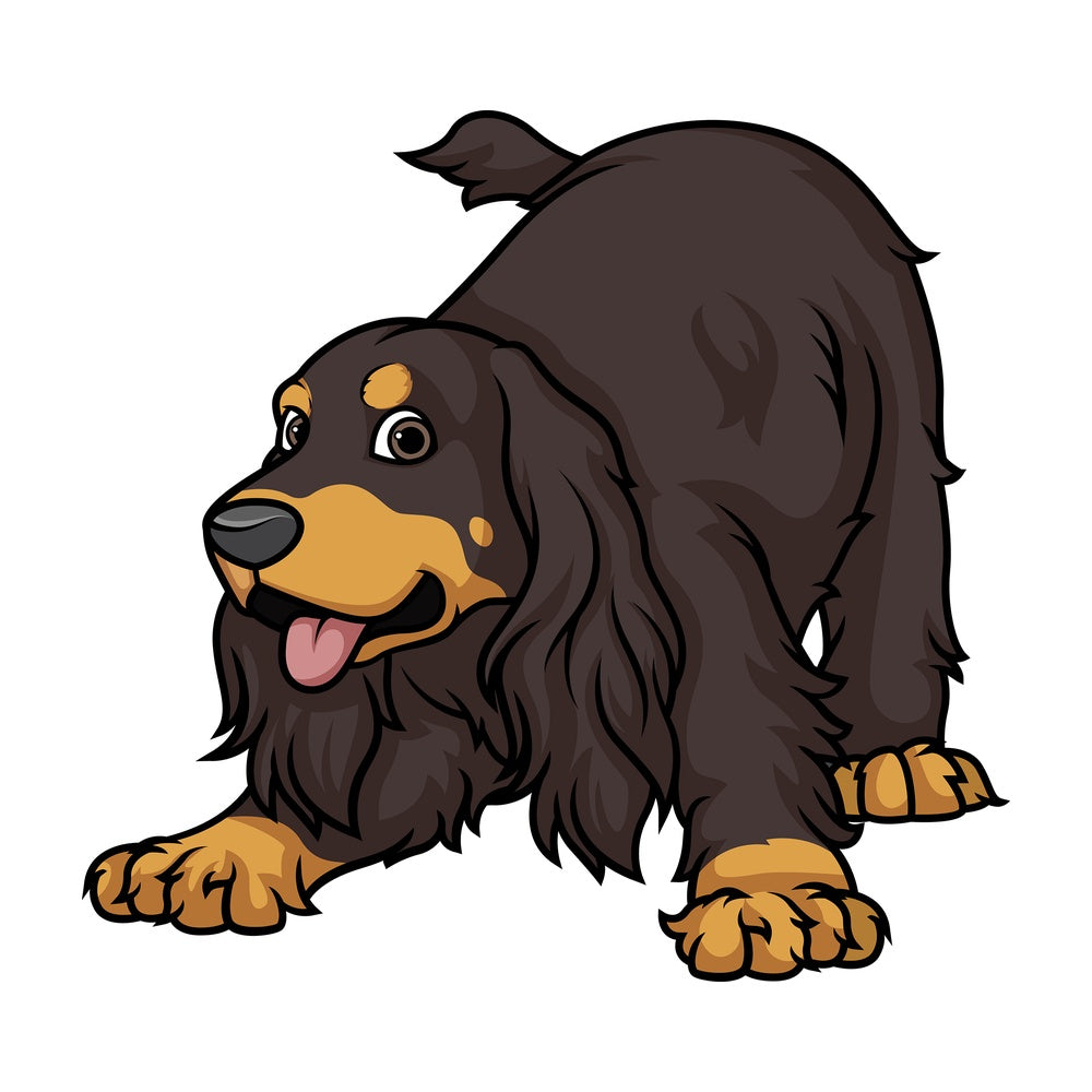 Playful sable english cocker spaniel. PNG - JPG and vector EPS (infinitely scalable).