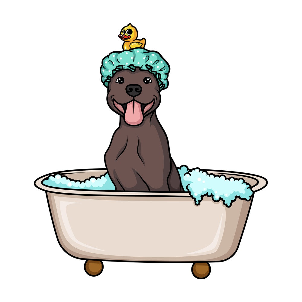 Cute dog in a bathtub. PNG - JPG and vector EPS (infinitely scalable). Image isolated on transparent background.