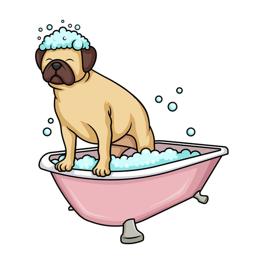 Pug dog having a bath. PNG - JPG and vector EPS (infinitely scalable). Image isolated on transparent background.