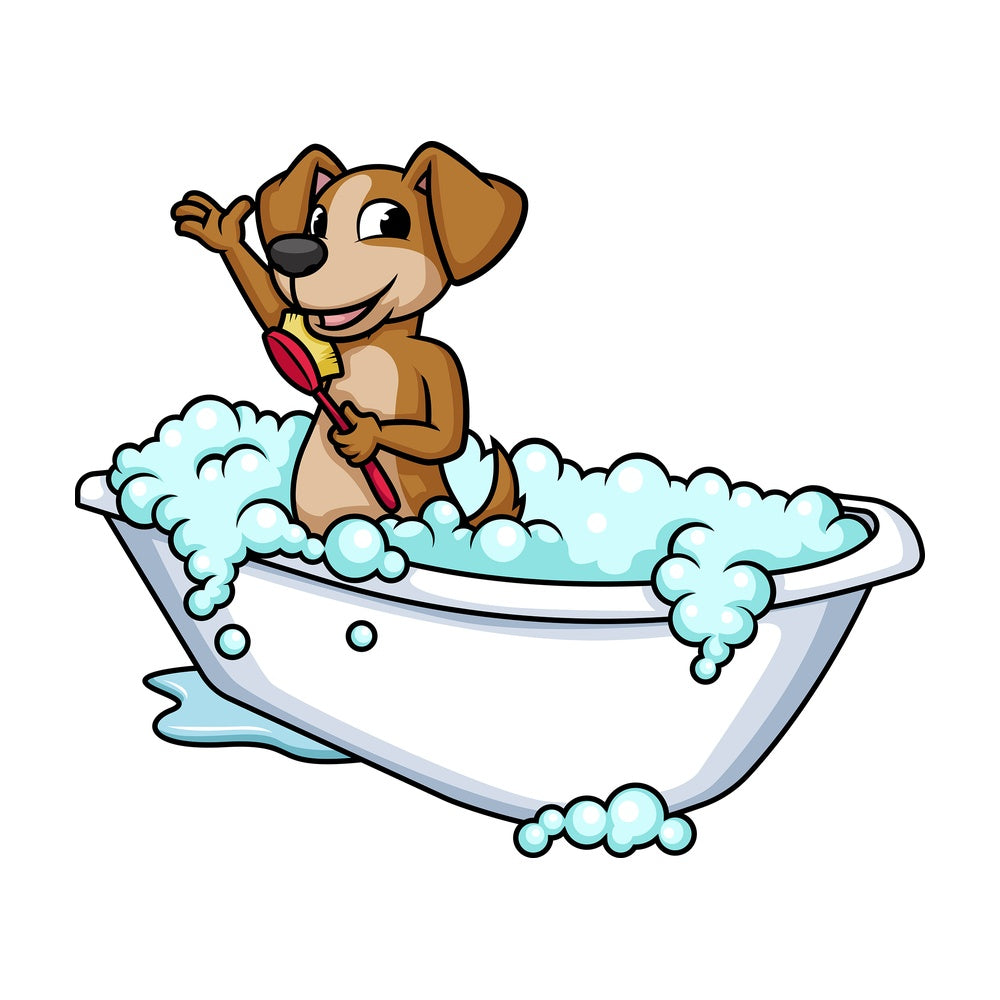 Dog having a bath. PNG - JPG and vector EPS (infinitely scalable). Image isolated on transparent background.