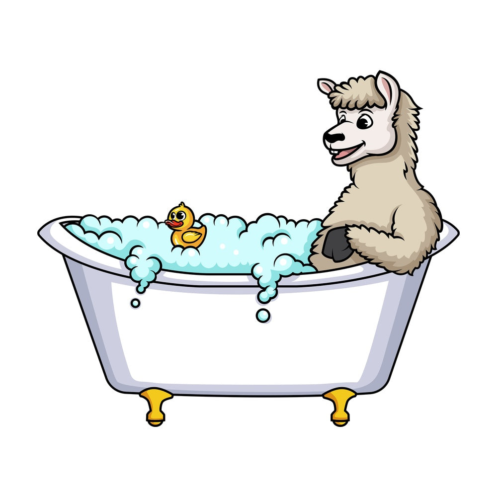 Llama having a bath. PNG - JPG and vector EPS (infinitely scalable).