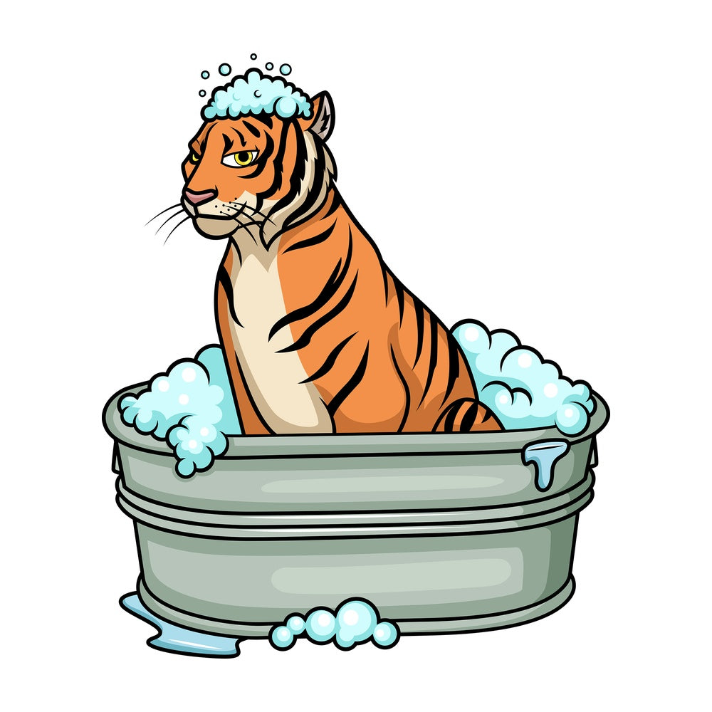 Tiger having a bath. PNG - JPG and vector EPS (infinitely scalable).