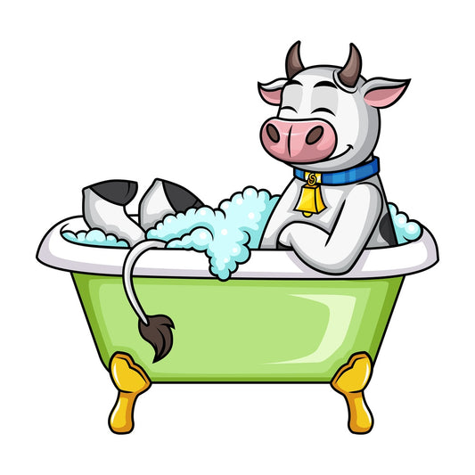 Cow having a bath. PNG - JPG and vector EPS (infinitely scalable).