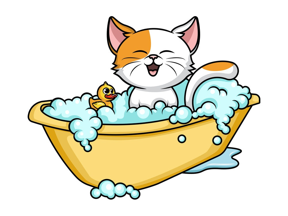 Cat having a bath. PNG - JPG and vector EPS (infinitely scalable).