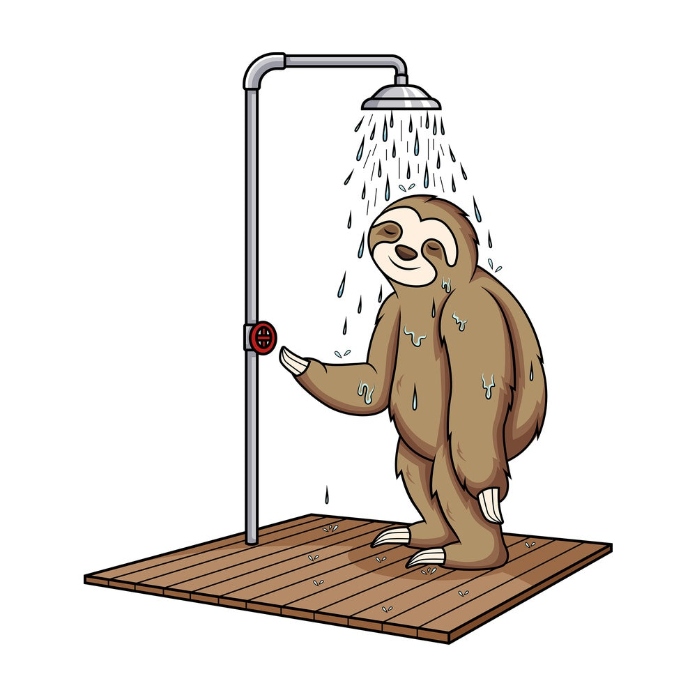 Sloth showering. PNG - JPG and vector EPS (infinitely scalable).