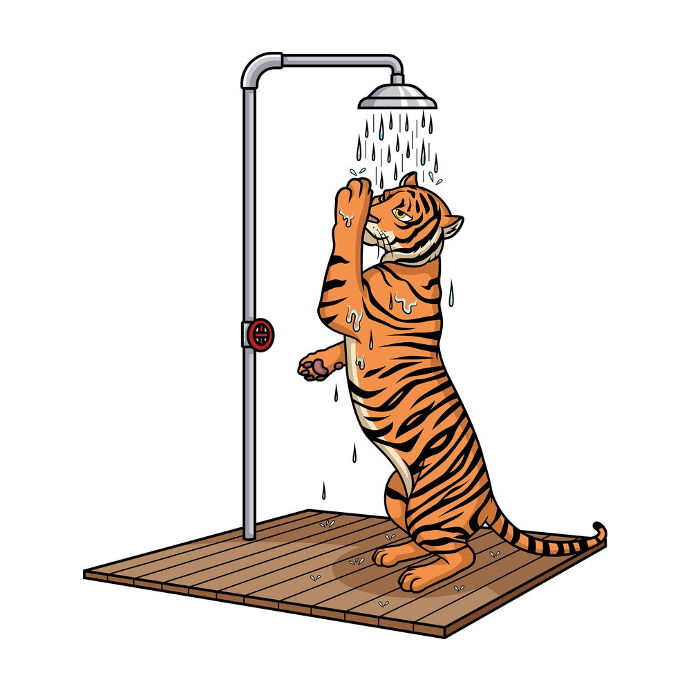 Tiger showering. PNG - JPG and vector EPS (infinitely scalable).