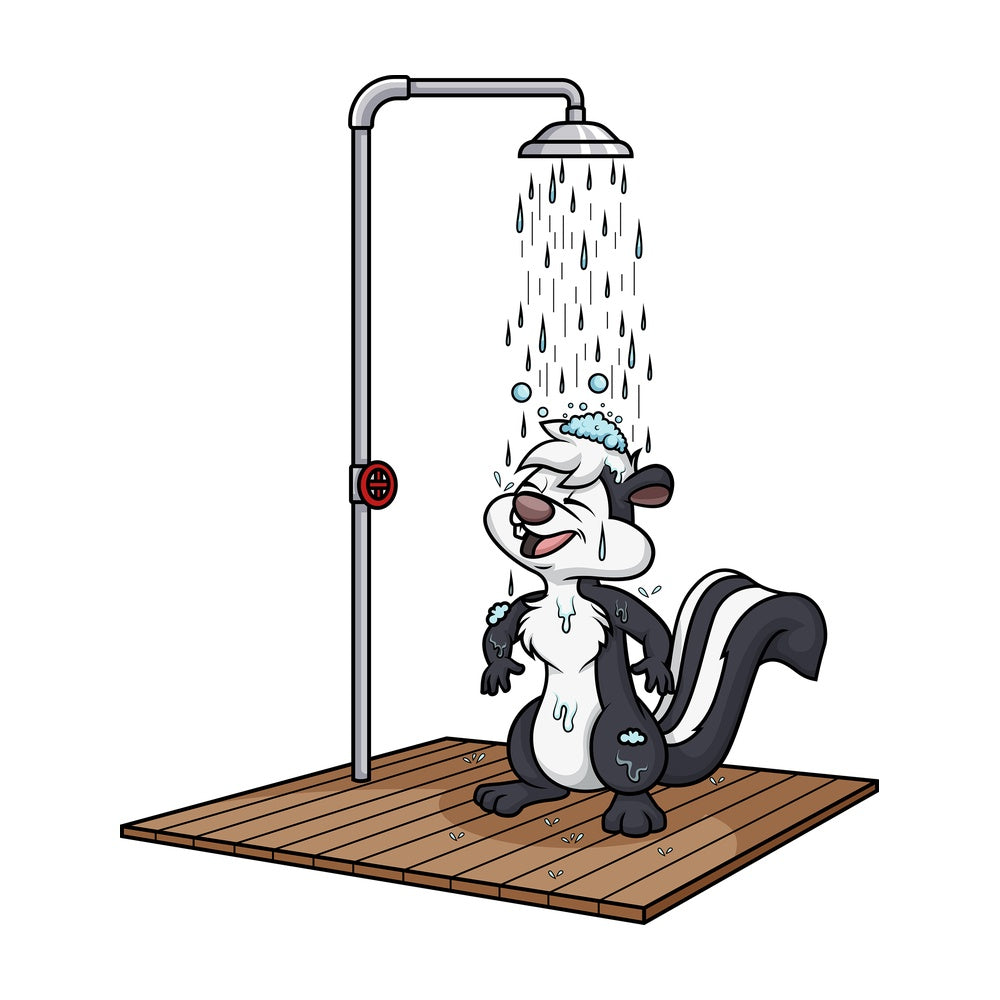 Skunk showering. PNG - JPG and vector EPS (infinitely scalable).