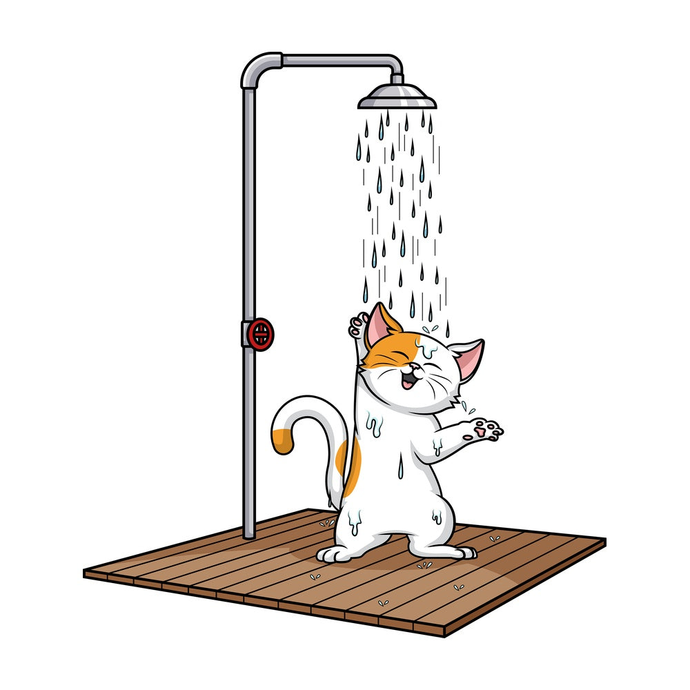 Cat showering. PNG - JPG and vector EPS (infinitely scalable).