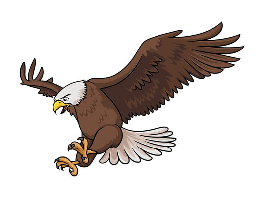 Bald eagle landing. PNG - JPG and vector EPS (infinitely scalable).
