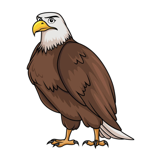 Brave bald eagle. PNG - JPG and vector EPS (infinitely scalable).