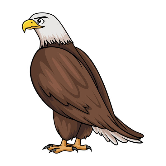 Bald Eagle Side View Profile