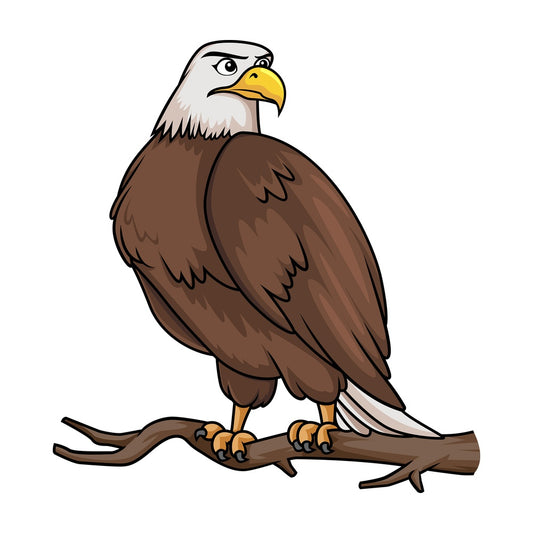 Bald eagle on tree branch. PNG - JPG and vector EPS (infinitely scalable).