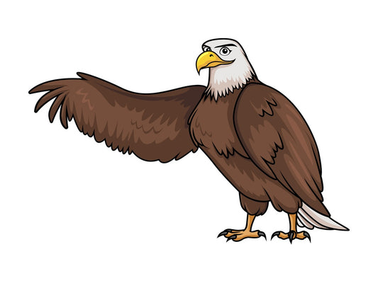 Bald eagle stretching wing. PNG - JPG and vector EPS (infinitely scalable).