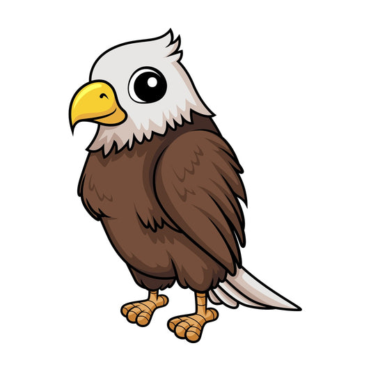 Baby bald eagle. PNG - JPG and vector EPS (infinitely scalable).