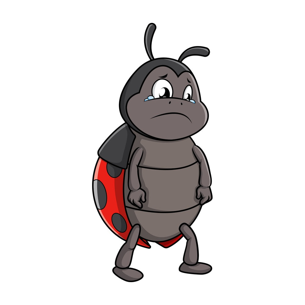 Sad ladybug. PNG - JPG and vector EPS (infinitely scalable).