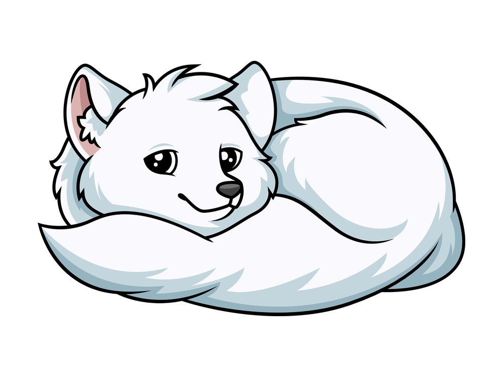 Curled up arctic fox. PNG - JPG and vector EPS (infinitely scalable).