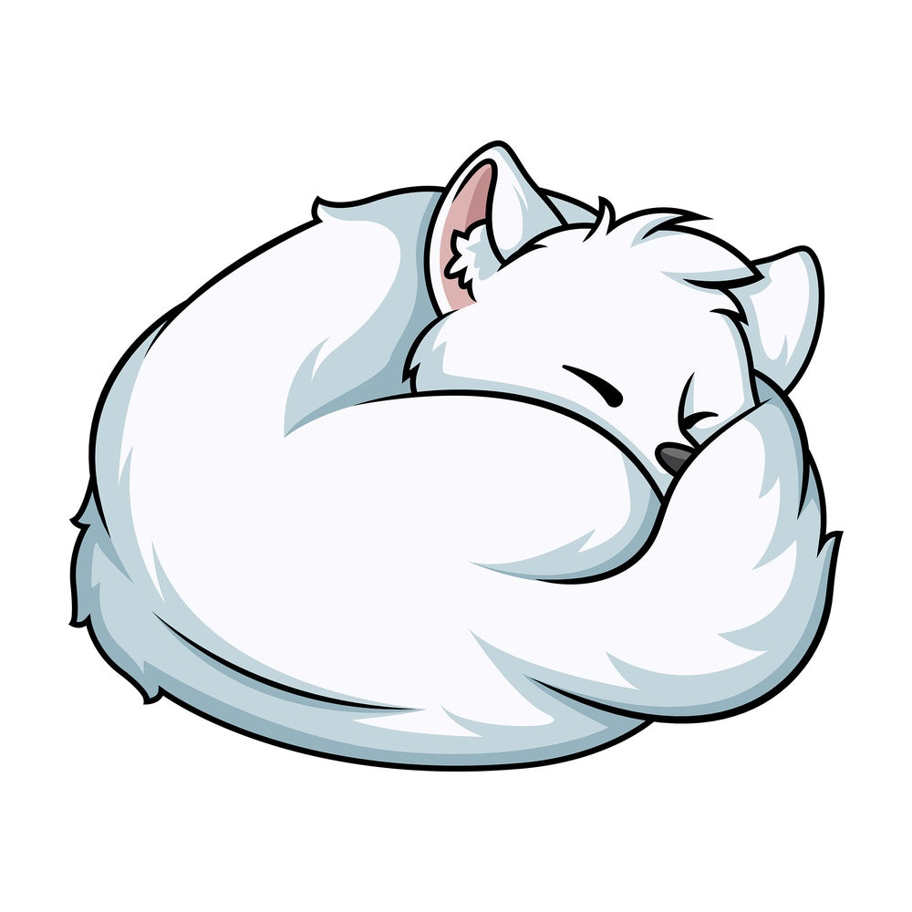 Sleeping arctic fox. PNG - JPG and vector EPS (infinitely scalable).