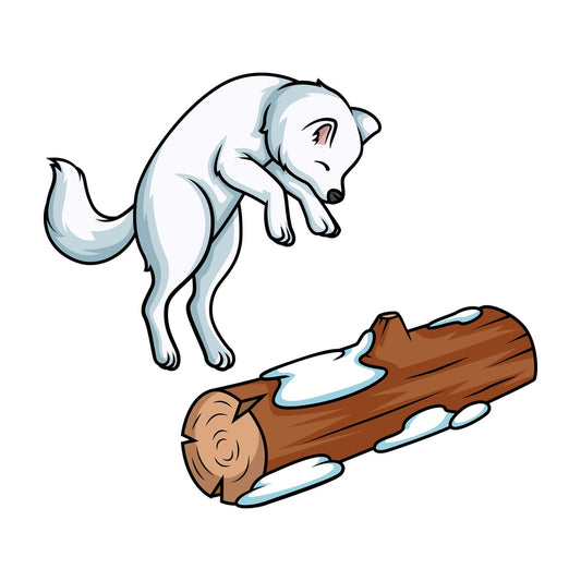 Arctic fox jumping. PNG - JPG and vector EPS (infinitely scalable).