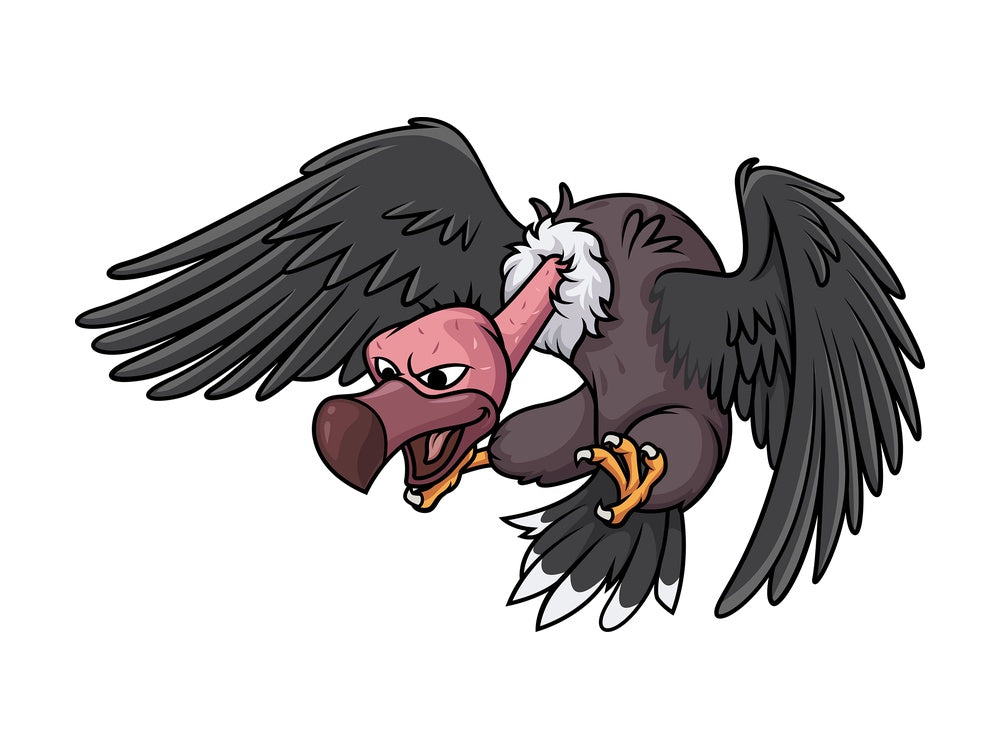 Vulture attacking. PNG - JPG and vector EPS (infinitely scalable).