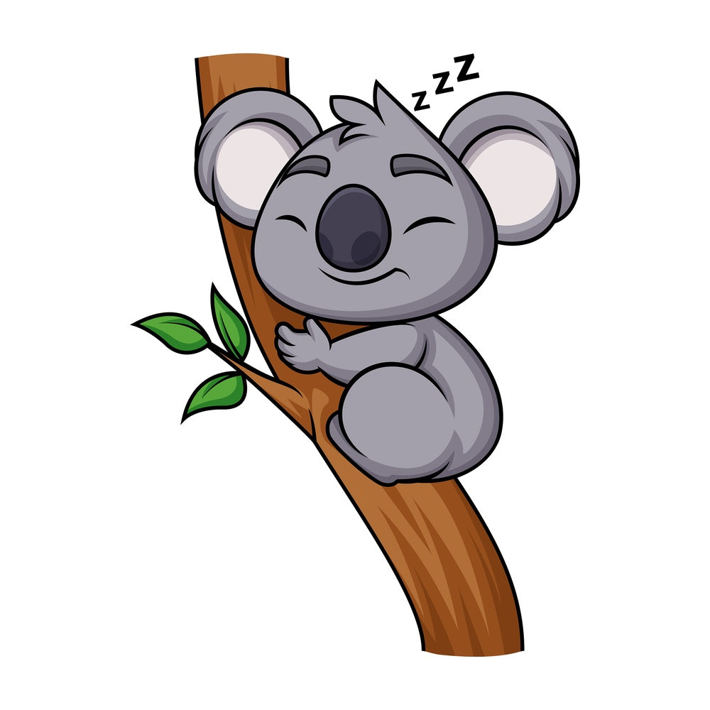 Koala sleeping. PNG - JPG and vector EPS (infinitely scalable). Image isolated on transparent background.