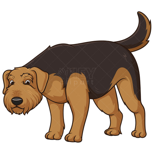 Royalty-free stock vector illustration of an airedale terrier sniffing.