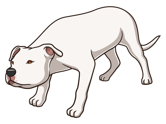 Royalty-free stock vector illustration of an american staffordshire terrier sniffing.