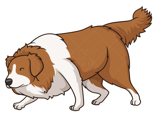 Royalty-free stock vector illustration of an australian shepherd sniffing.