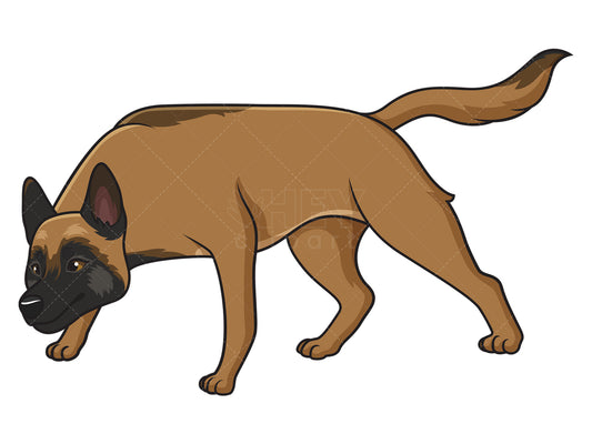 Royalty-free stock vector illustration of a belgian shepherd sniffing.