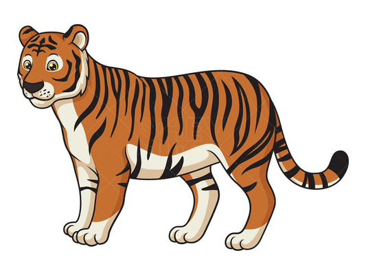 Royalty-free stock vector illustration of a bengal tiger.