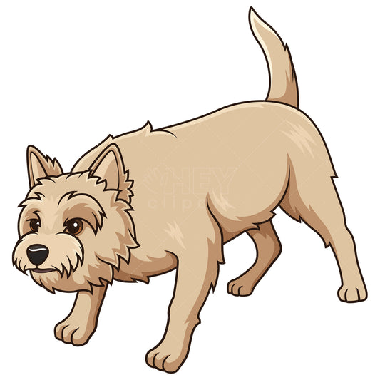 Royalty-free stock vector illustration of a cairn terrier sniffing.