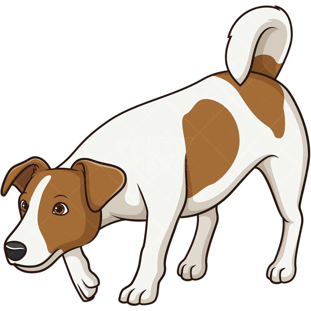 Royalty-free stock vector illustration of a jack russell dog sniffing.