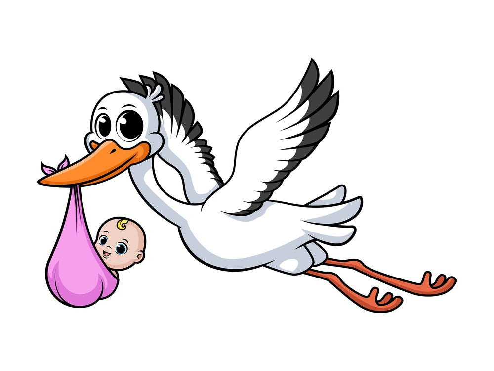 Stork carrying baby girl. PNG - JPG and vector EPS file formats (infinitely scalable). Image isolated on transparent background.