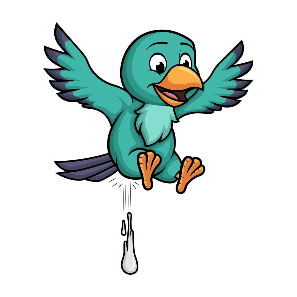 Bird pooping. PNG - JPG and vector EPS file formats (infinitely scalable). Image isolated on transparent background.