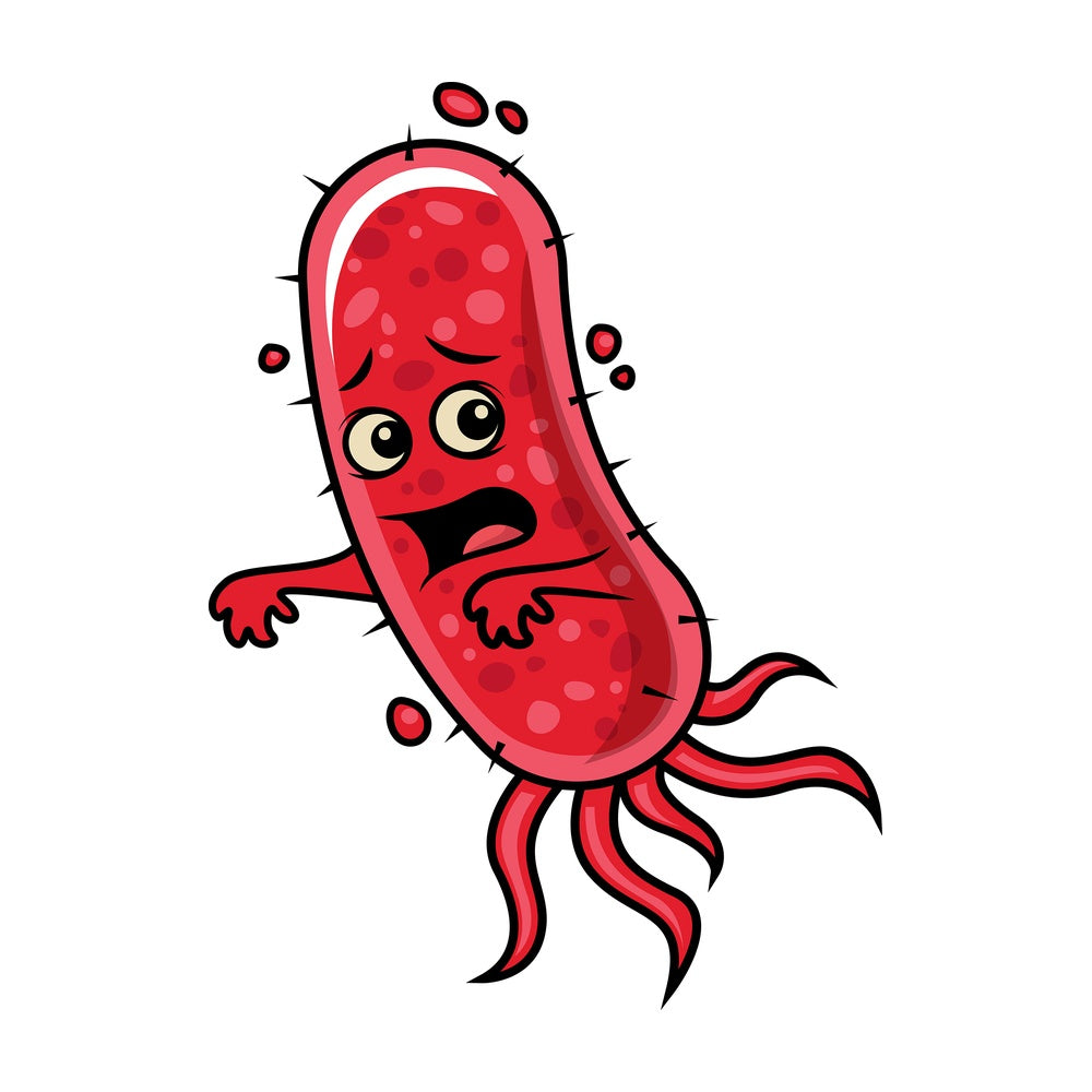 Red bacteria running away in fear. PNG - JPG and vector EPS (infinitely scalable).