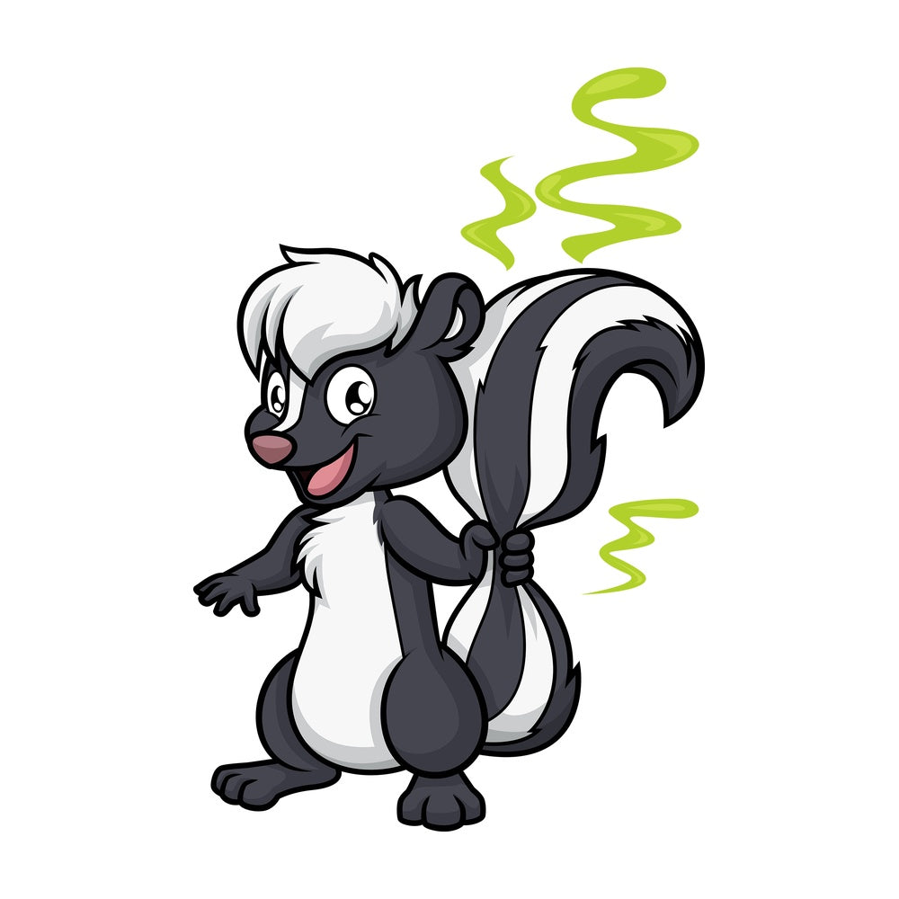 Stinky skunk. PNG - JPG and vector EPS (infinitely scalable).