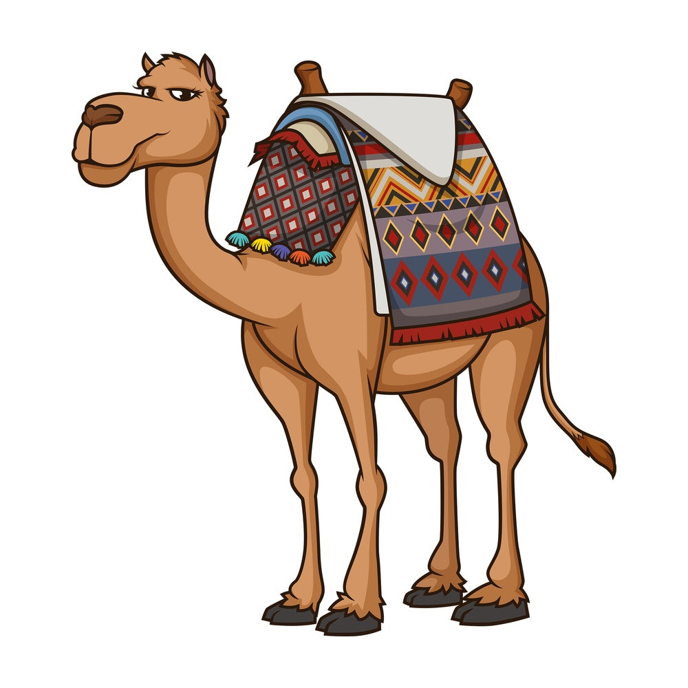Egyptian camel. PNG - JPG and vector EPS (infinitely scalable).