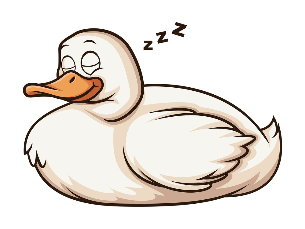 Sleeping duck. PNG - JPG and vector EPS (infinitely scalable).