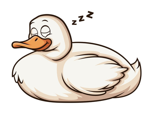 Sleeping duck. PNG - JPG and vector EPS (infinitely scalable).