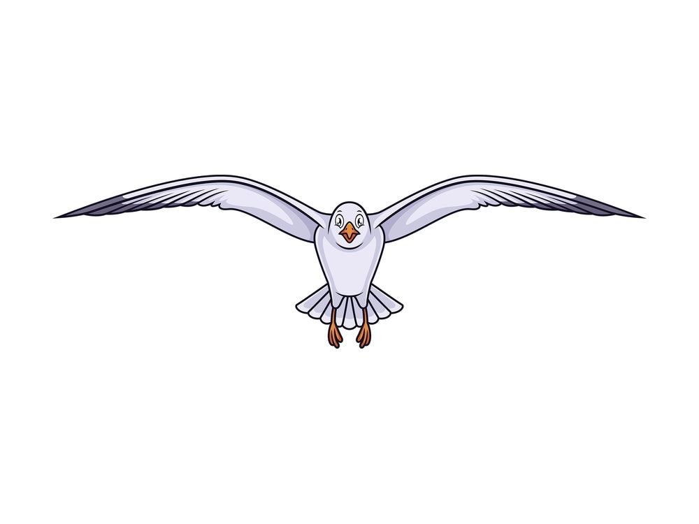 Front view seagull flying. PNG - JPG and vector EPS (infinitely scalable).